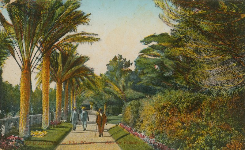 Alley of the Palms, hagene til Villa Eilenroc, Cap dAntibes, Frankrike. Postkort sendt i 1913 av French Photographer