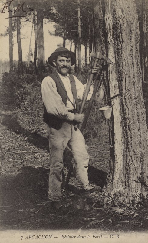 Arcachon, Resinier i skogen av French Photographer