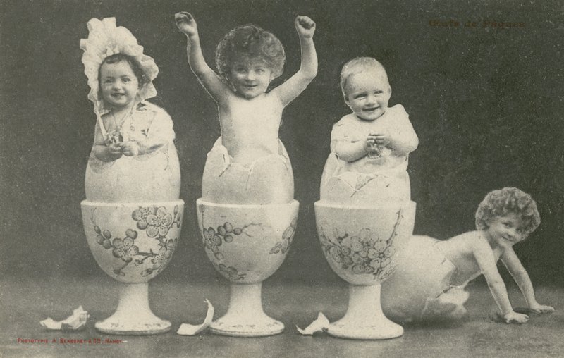Babyer som klekkes fra egg i eggekopper (s/hvitt bilde) av French Photographer