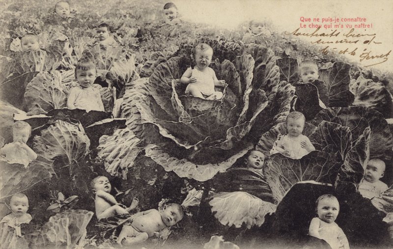 Babyer i kållappen (fotokollasje) av French Photographer