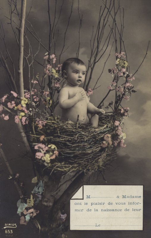 Baby i et rede av French Photographer