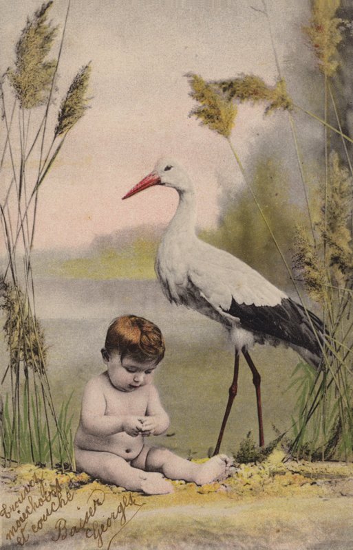 Baby med stork av French Photographer