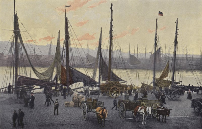 Boulogne-sur-Mer, Forberedelser for sildefiske av French Photographer