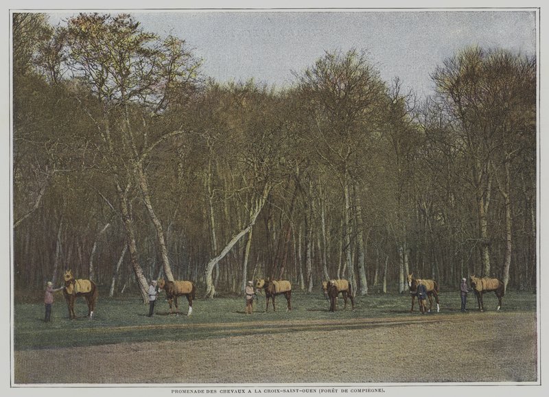 Trener veddeløpshester på La Croix-Saint-Ouen i Foret de Compiegne, Frankrike (fargebilde) av French Photographer