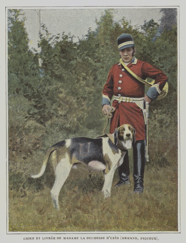 Hund og jeger i fargen på jakten til hertuginnen av Uzes, Frankrike (fargebilde) av French Photographer