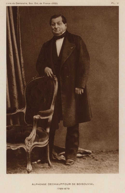 Jean Baptiste Boisduval , fransk lepidopterist og botaniker (s/hvitt-bilde) av French Photographer