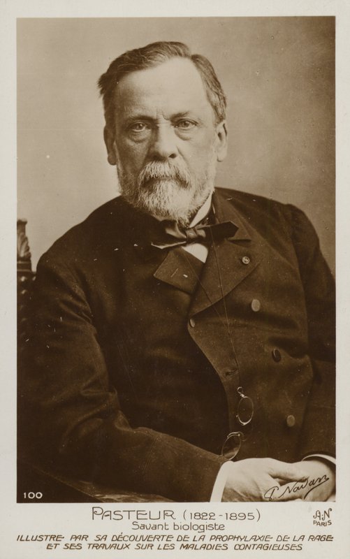 Louis Pasteur (1822-1895), fransk kjemiker og mikrobiolog av French Photographer