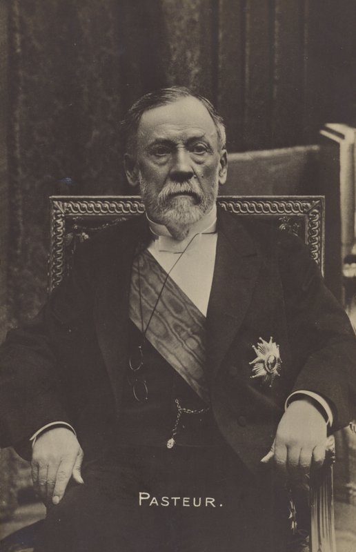 Louis Pasteur (1822-1895), fransk kjemiker og mikrobiolog av French Photographer