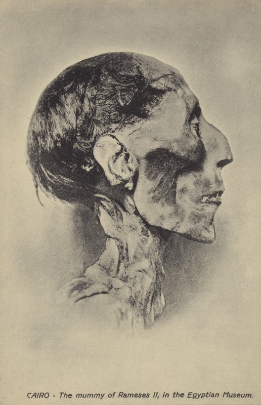 Mamma av Ramesses II av French Photographer