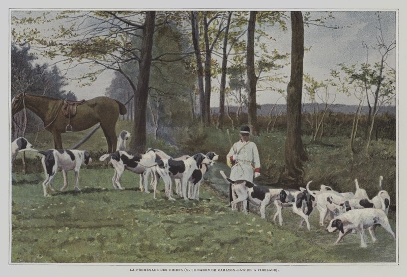 Pakke med hunder av Baron de Carayon-Latour i Virelade, Frankrike (fargebilde) av French Photographer