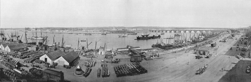 Panorama over Rade og Pont de Bordeaux, utsikt tatt fra tollen (s/hvitt-bilde) av French Photographer