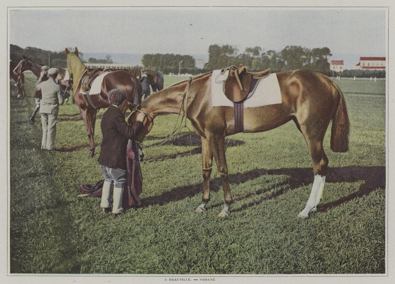 Veddeløpshester i Deauville, Frankrike (fargebilde) av French Photographer