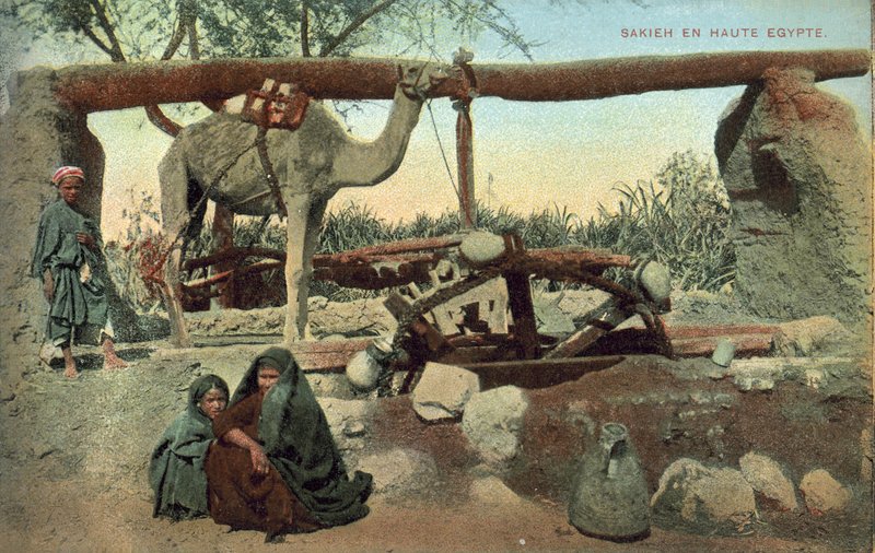 Sakia, Øvre Egypt (fargebilde) av French Photographer