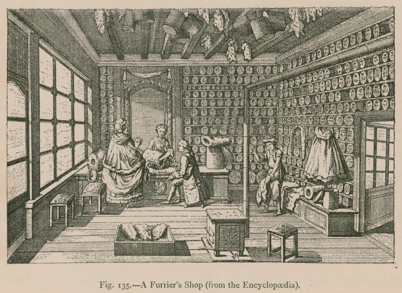 A Furrier Shop (fra Encyclopaedia) av French School