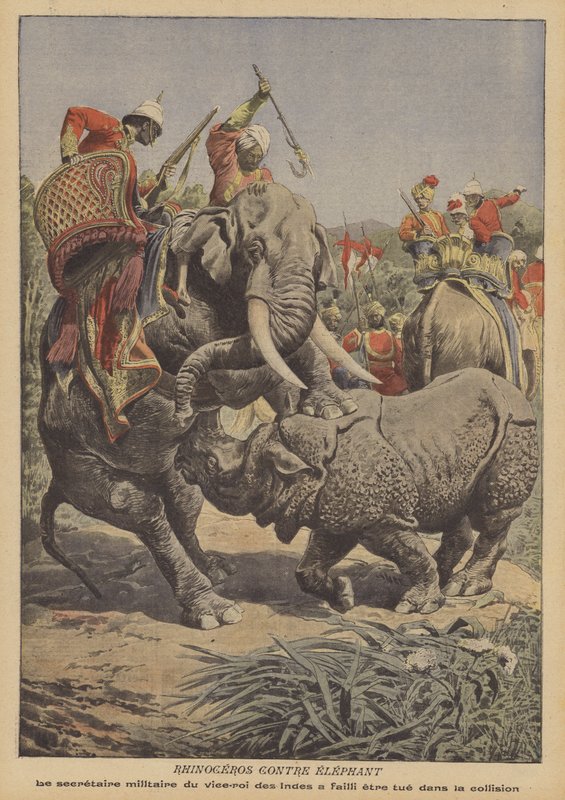 Et neshorn angriper en elefant i India (farge litho) av French School