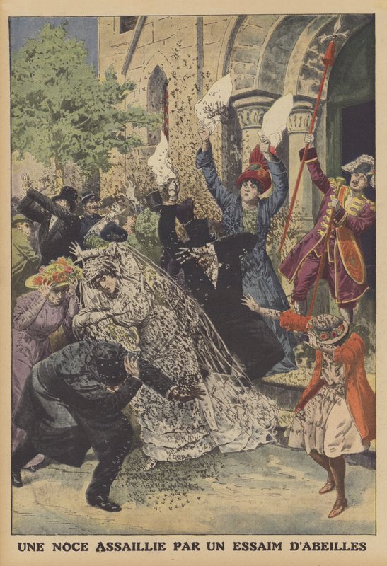 Et bryllup angrepet av en sverm av bier (farge litho) av French School