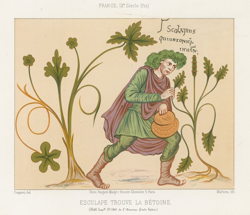 Aesculapius oppdager betoni av French School
