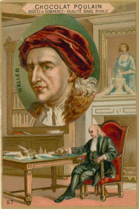 Albert von Haller av French School