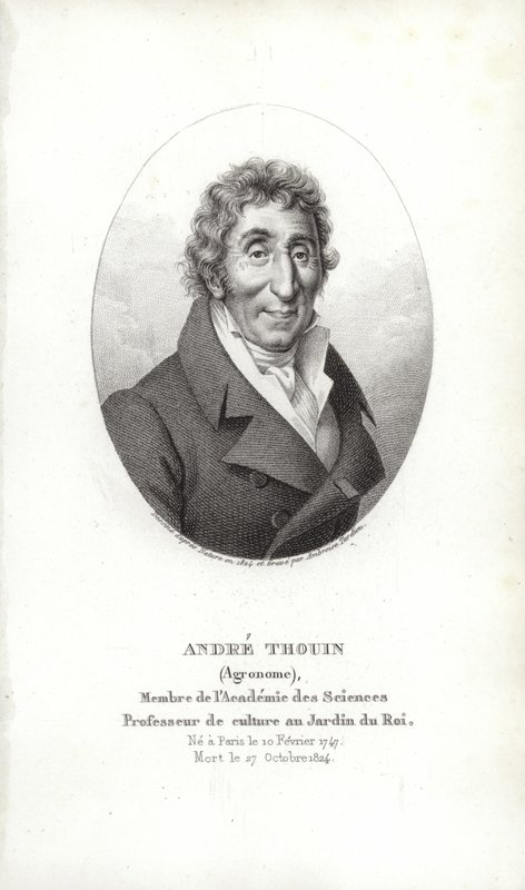 André Thouin av French School