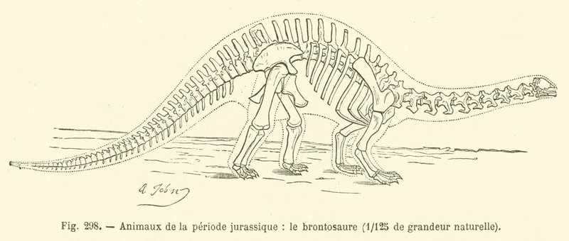Dyr fra juraperioden, Brontosaurus (gravering) av French School