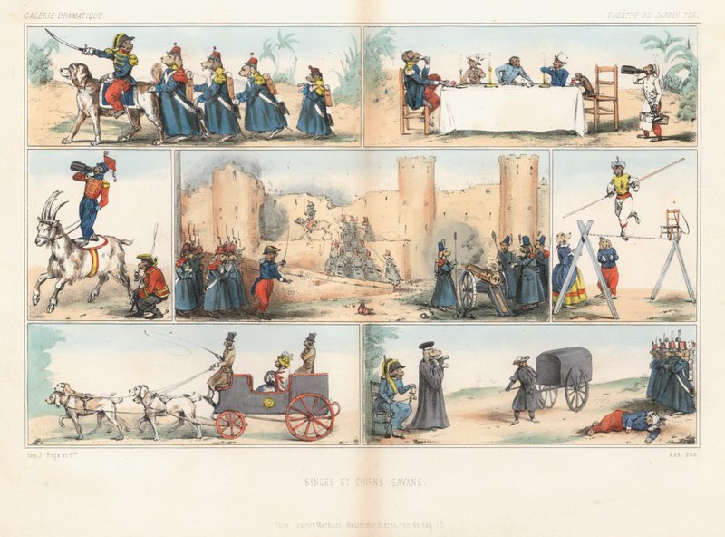 Antropomorfe hunder og aper (farget gravering) av French School