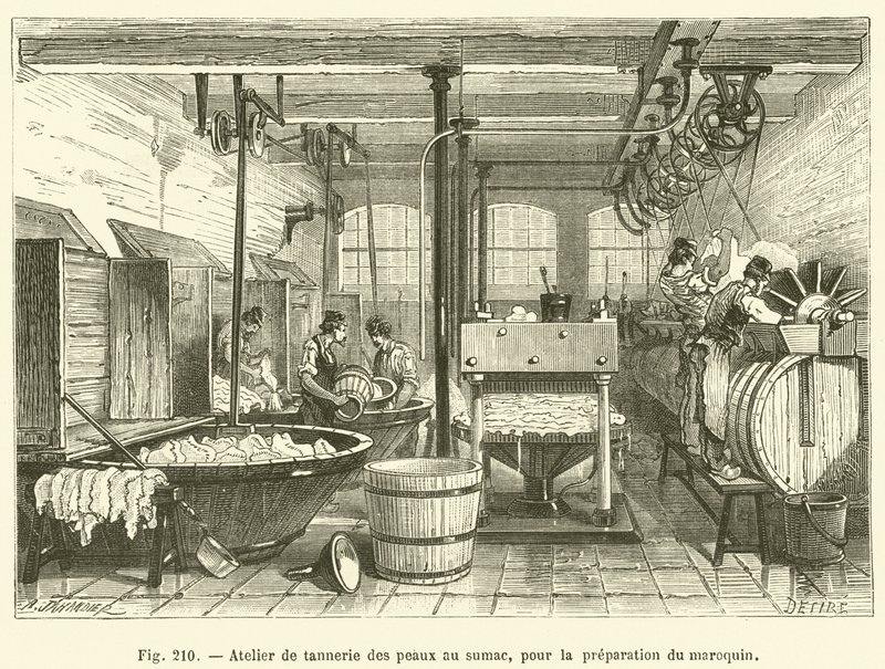 Garveriverksted for sumakskinn, for tilberedning av marokko (gravering) av French School