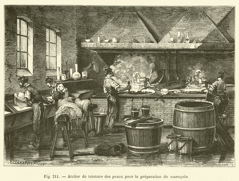 Hudfargingsverksted for forberedelse av Marokko (gravering) av French School
