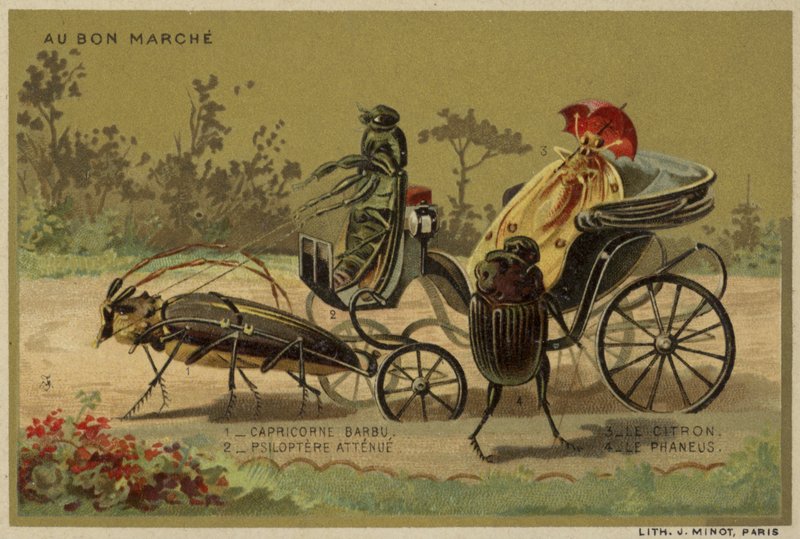 Au Bon Marche-kort med antropomorfe insekter av French School