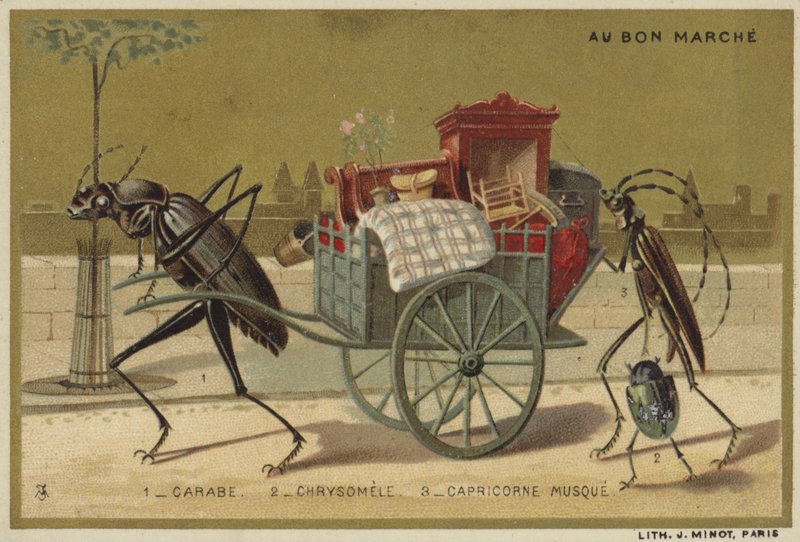 Au Bon Marche-kort med antropomorfe insekter av French School