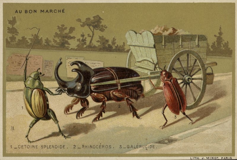 Au Bon Marche-kort med antropomorfe insekter av French School