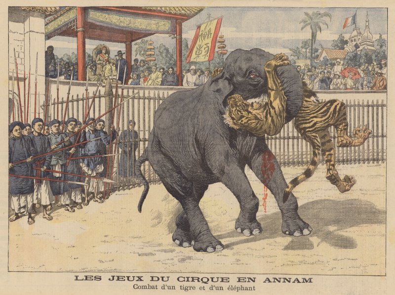 Kamp mellom en elefant og en tiger i et sirkus i Annam, Indokina (fargelitografi) av French School