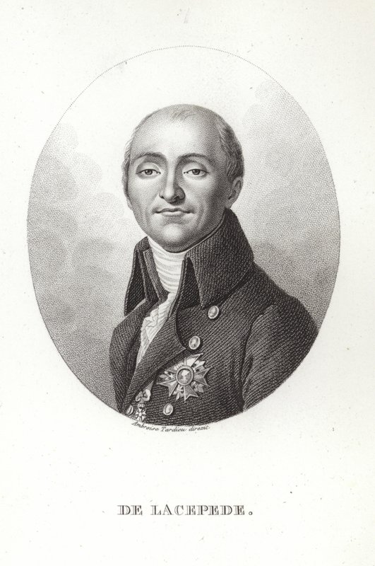 Bernard Germain de Lacepede av French School