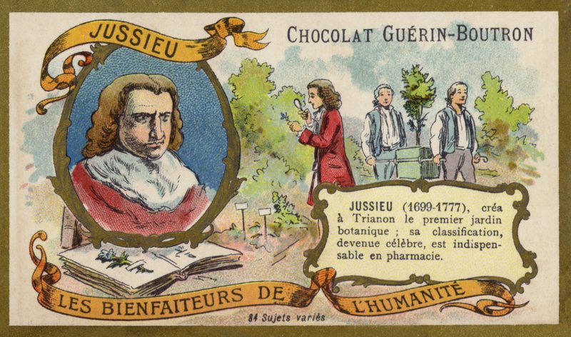 Bernard de Jussieu , fransk naturforsker (chromolitho) av French School