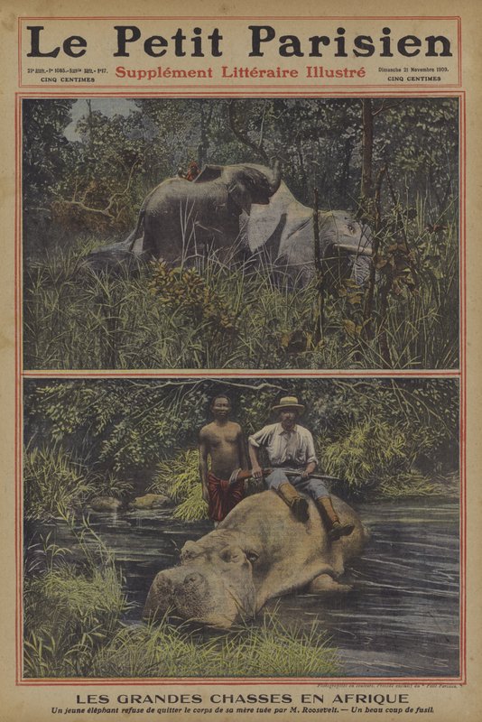 Storviltjakt i Afrika (farge litho) av French School