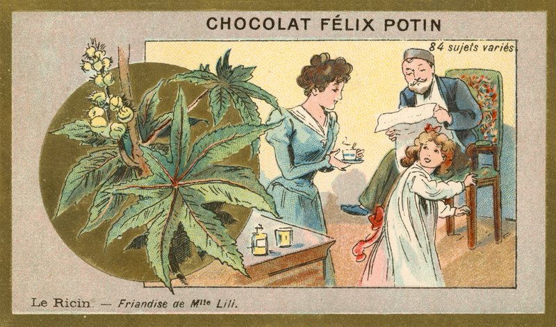 Castorolje - delikatesse av Miss Lili (chromolitho) av French School