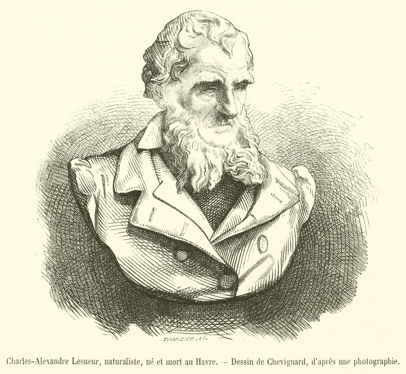 Charles-Alexandre Lesueur , naturforsker, født og døde i Le Havre (gravering) av French School