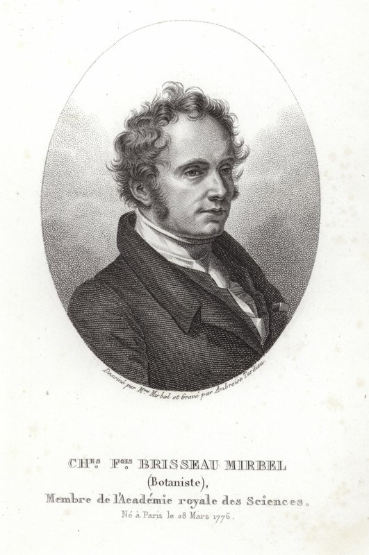 Charles-Francois Brisseau de Mirbel av French School