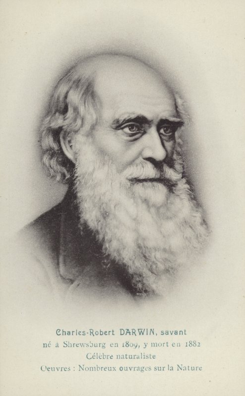 Charles Darwin (1809–1882), engelsk naturforsker (lito) av French School