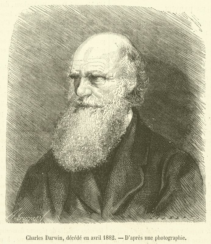 Charles Darwin, decede en april 1882 (gravering) av French School
