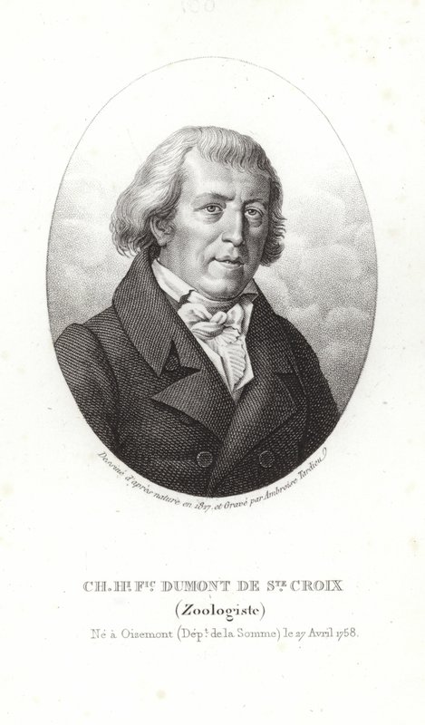 Charles Dumont av Sainte-Croix av French School