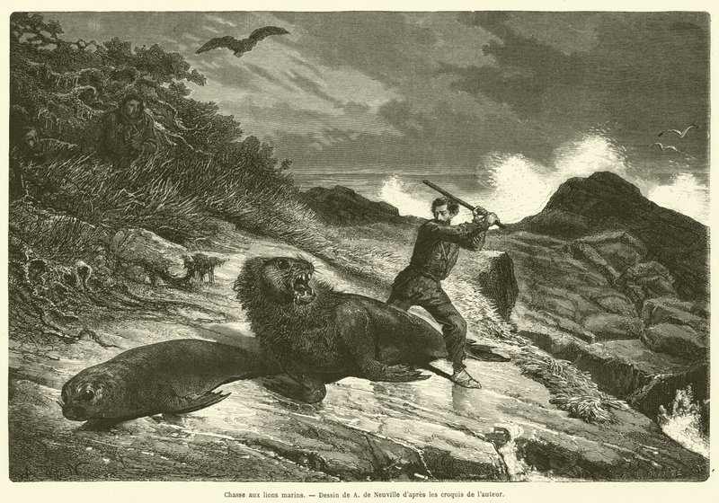 Sea Lion Hunt (gravering) av French School