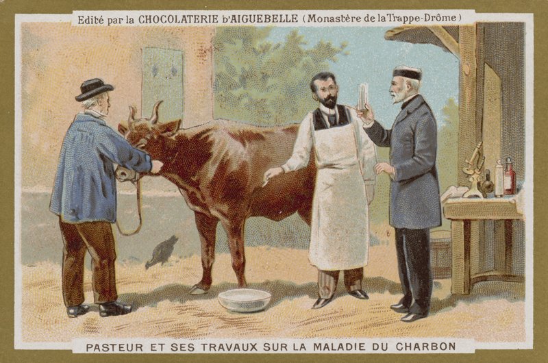 Chocolat dAiguebelle handelskort av French School