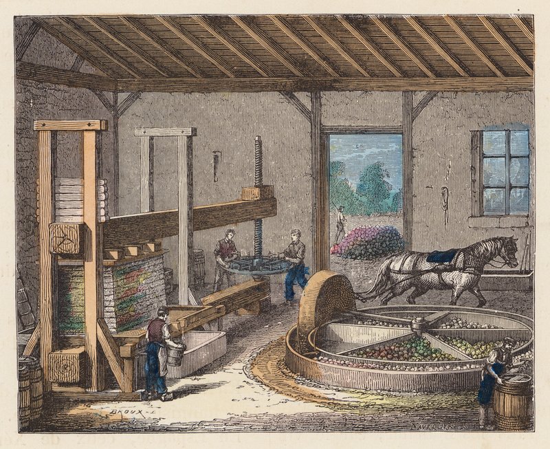 Ciderproduksjon (farget gravering) av French School