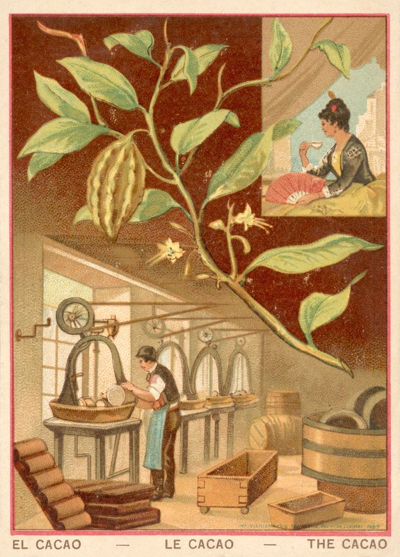 Kakao (chromolitho) av French School
