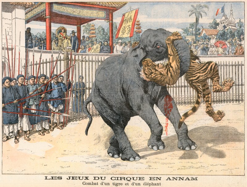 Kamp mellom en tiger og en elefant av French School