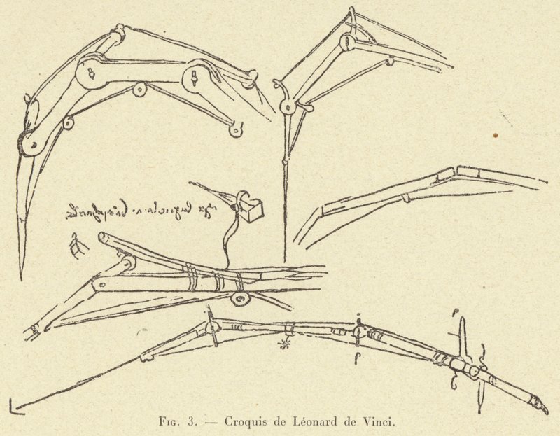 skisse av Leonardo da Vinci av French School