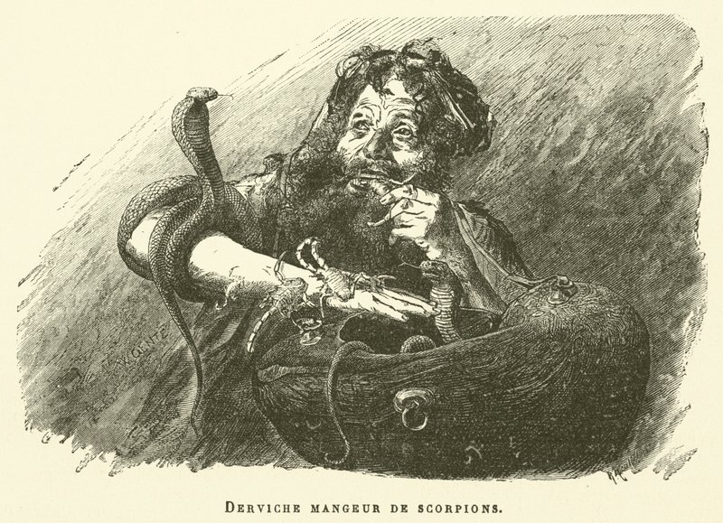 Dervish Eater Of Scorpions (gravering) av French School