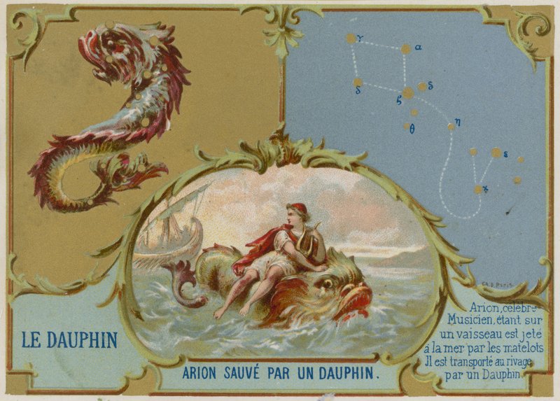 Delfin - Arion blir reddet av en delfin av French School
