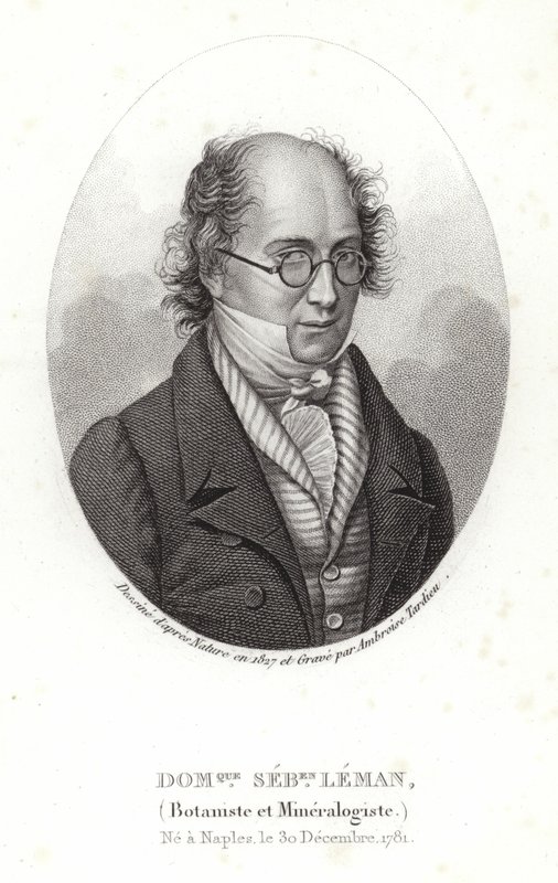 Dominique Sebastion Leman av French School