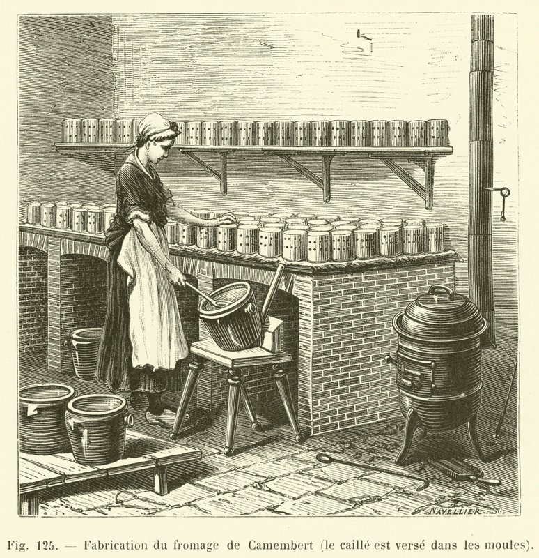 Produksjon av Camembert ost, vaktelen helles i formene (gravering) av French School